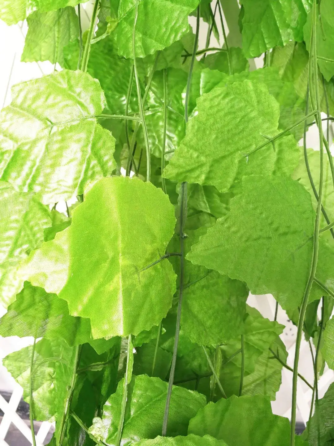 Cheap Indoor Plants Ivy, find Indoor Plants Ivy deals on line at