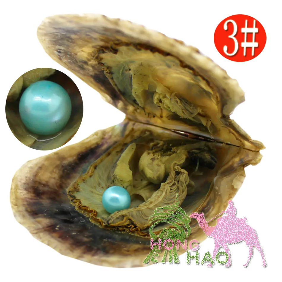 

AAAAA grade 6-7mm vacuum packed oysters akoya pearl oyster saltwater pearl oyster many colours stock free shipping