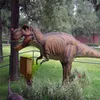Amusement theme park simulation dinosaur adventure in the dinosaur work