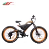 High power two wheel 26'' 48v 750w electric cruiser bike with pedal assist system
