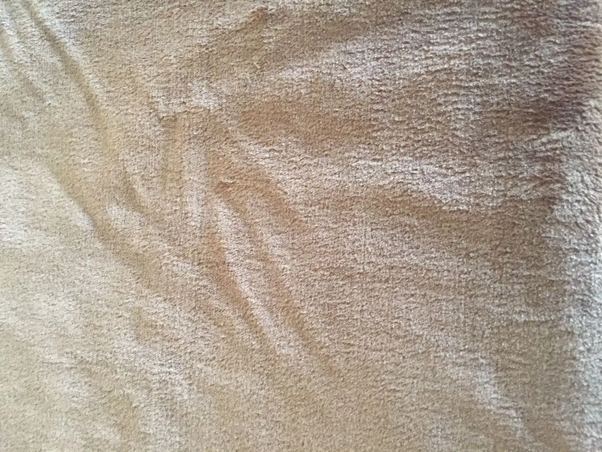 5507507227_3437924.jpg