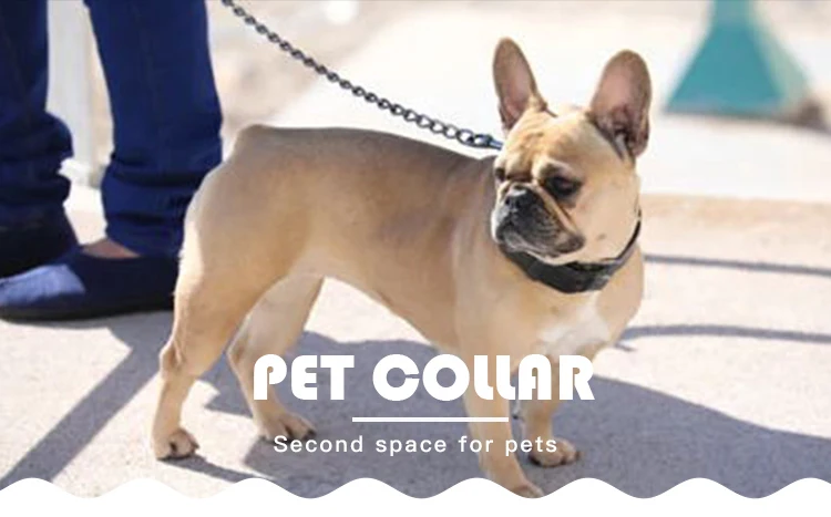 Fashion British Style Bowknot Tractive Dog Pet Collar