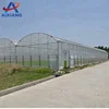 Economical Vegetable Plastic Greenhouse and Prices