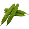 Long Bitter Melon Backdrop For Photo Studio