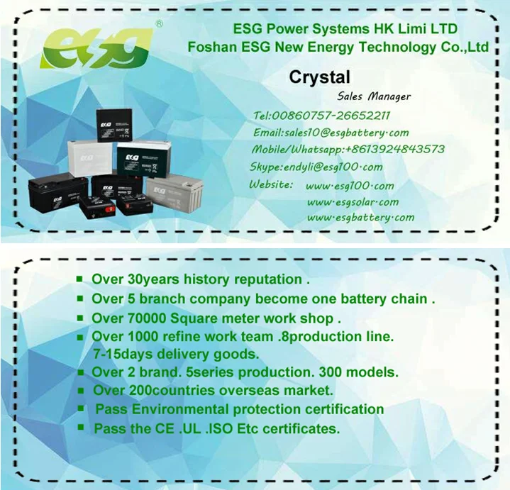 ESG brand for rural areas Rechargeable lead acid battery with back lamp 3w6v solar lighting system