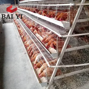 Hot Selling Second Hand Layer Poultry Cages Chicken Farms Of Germany