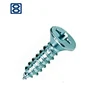 Male and female screw double threaded screw
