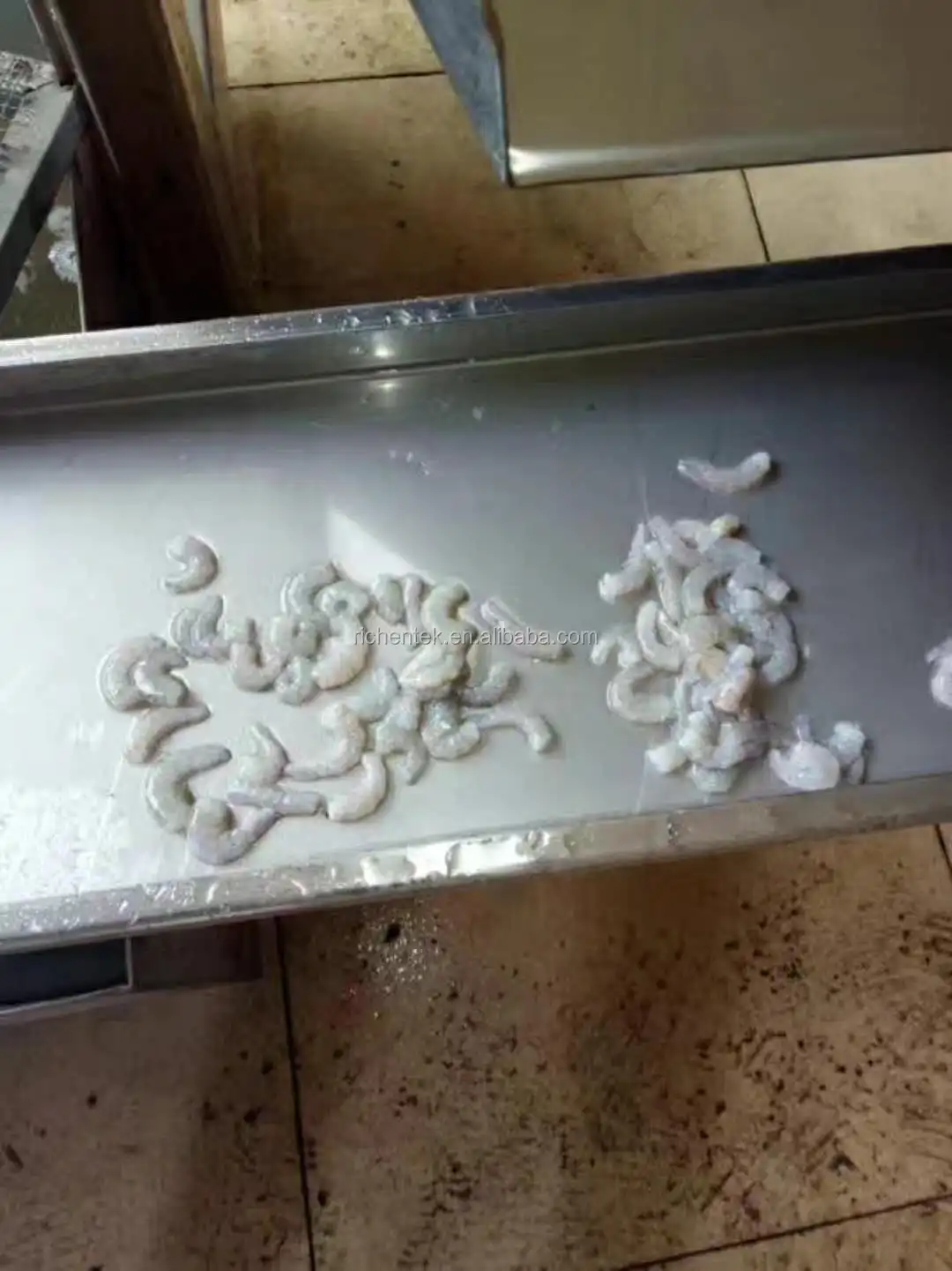 Automatic Shrimp Cleaner Grader Machine/prawn Washing Grading Machine/fresh Shrimp Size Roller Sorting Machine For 6 Grades