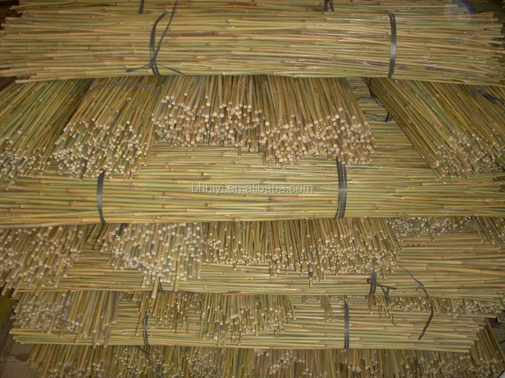 dry natural raw bamboo poles for garden planting vegetables