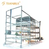 Tianrui Design H Type 3 Tiers 4 Tiers Automatic Broiler Battery Cage for Indonesia Market