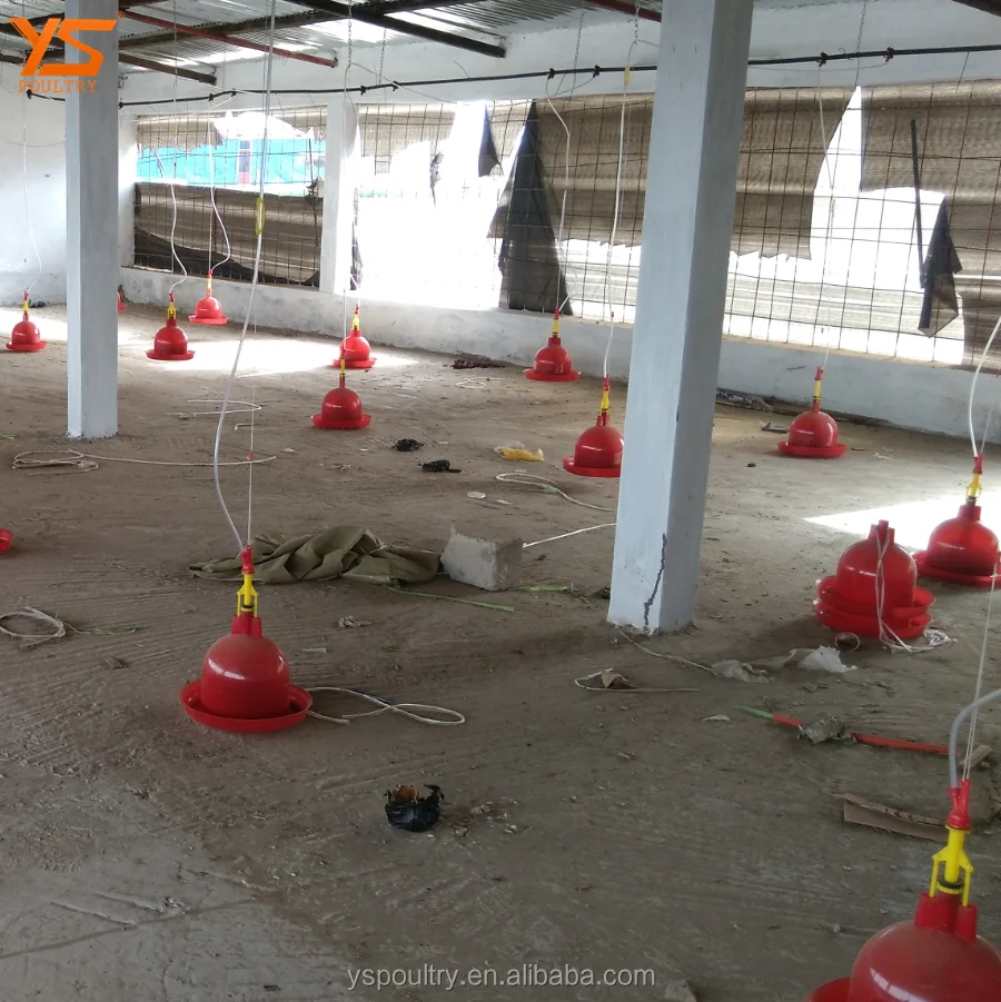
Automatic poultry drinkers for chick broiler chicken 