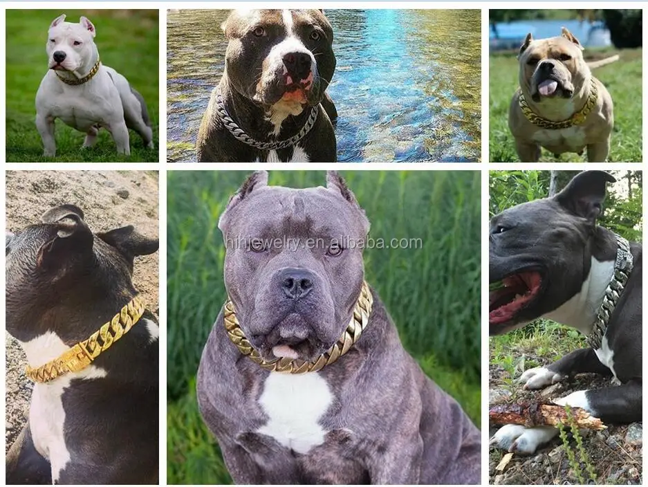 ステンレススチールチェーントリプルメタルチェーンドッグハーネスチェーンマーティンゲールドッグカラー Buy 犬チェーン マーチンゲール犬襟 金属 チェーン犬ハーネス Product On Alibaba Com