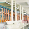 Plating Machine Gold Chrome Electroplating Line for Jewellery Ring Plating