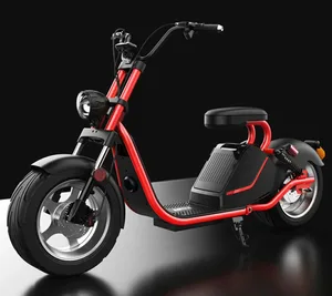 EEC certificate cicycoco electrical motorcycle