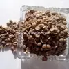 Washed Arabica Green Coffee Beans