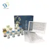 Human Heat-stable enterotoxin receptor,GUCY2C Elisa Kit