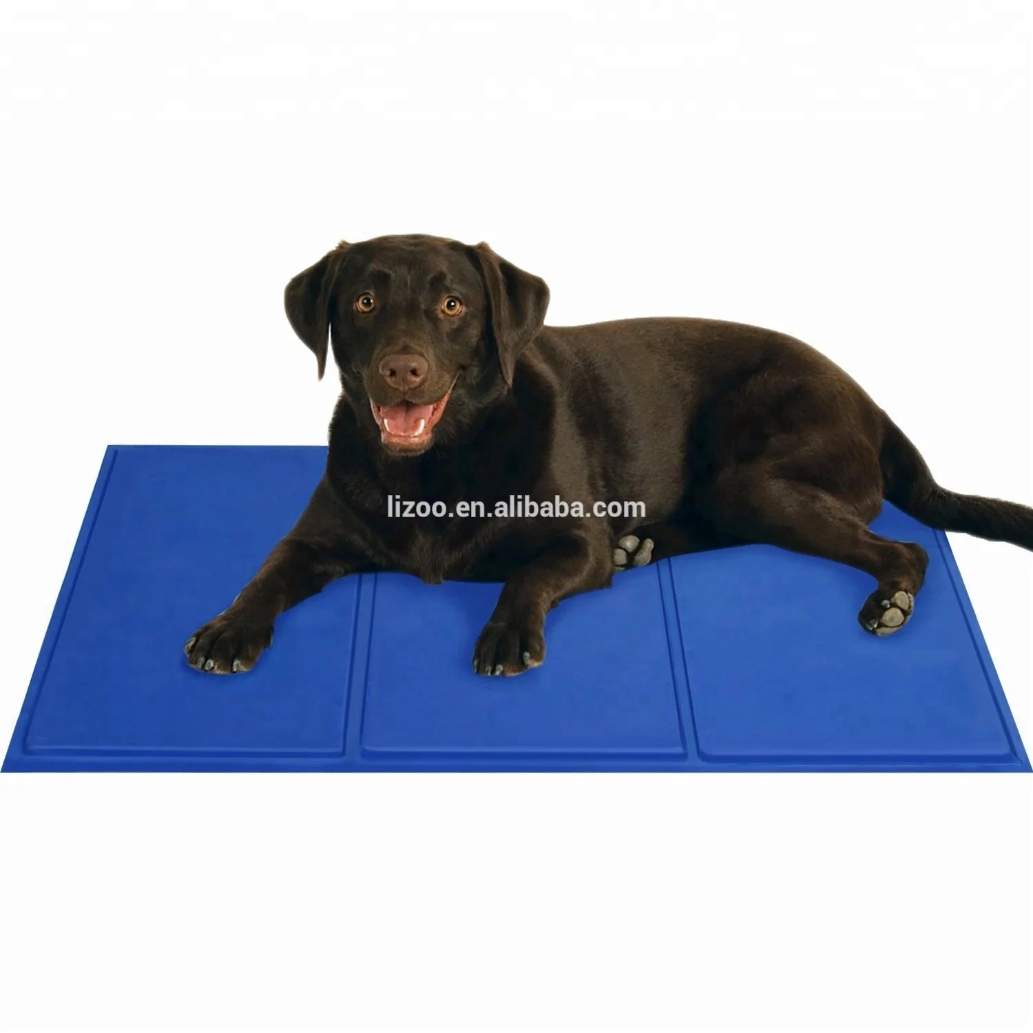 gel mats for dogs