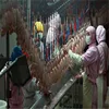 Slaughter equipment chicken killing plucker machine for poultry