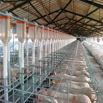Piglet Gestation Stall And Boar Gate Pig Farrowing Fence For Pig ...