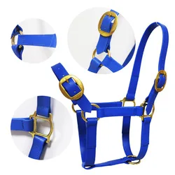 Horse Equipment pvc endurance horse bridles