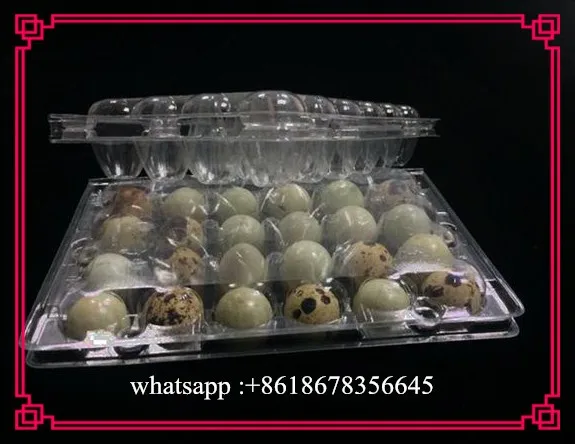 
PVC plastic quail egg packing tray /plastic box packaging for 12/24/30 quail eggs 