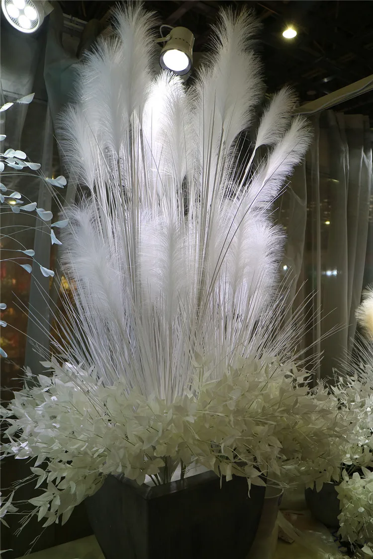 pampas grass (16).jpg