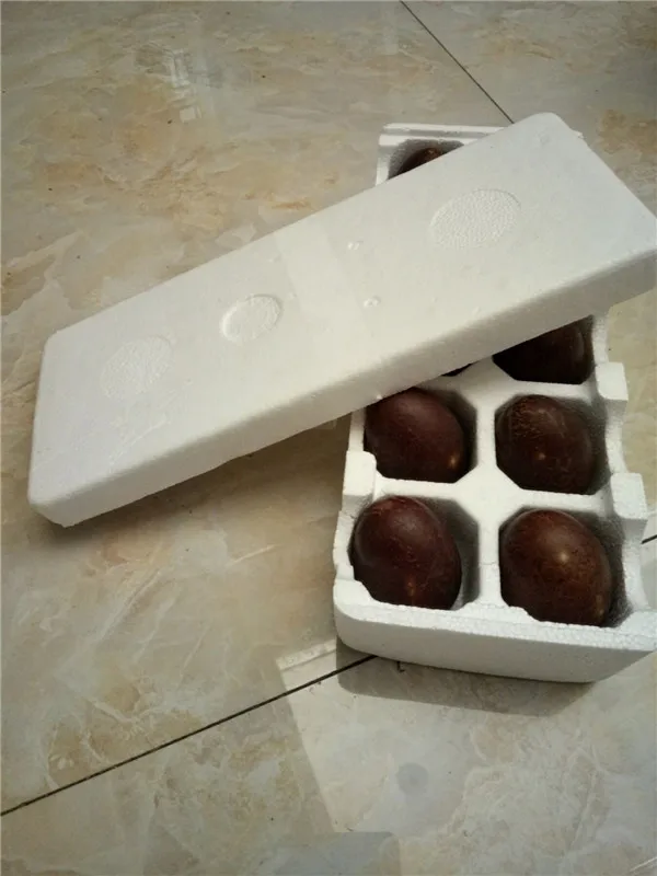 Hard Packing Foam Material,Eps Styrofoam Packaging,Foam Box With Carton