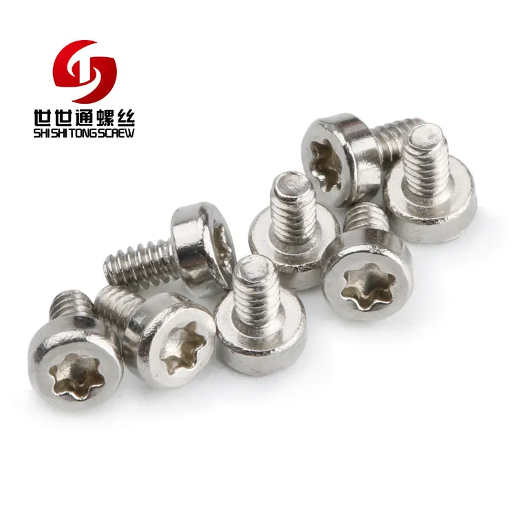 Shenzhen Panel Electric Meter Screws 316l Stainless Steel Pivot Screw 2