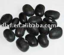 
Chinese black bean yellow kernel whosale 