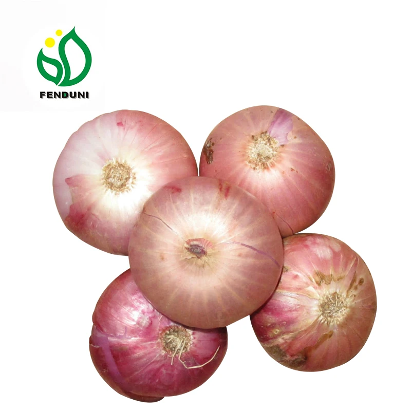 
Fresh Red Onion 