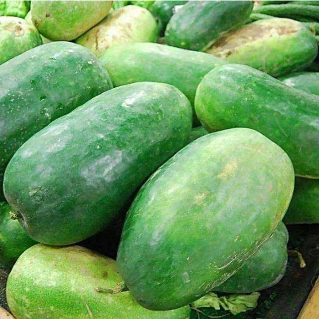and high germination and high yield of winter melon wax gourd