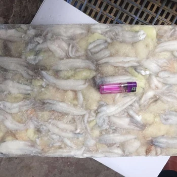 Bqf Roe Beku Squid Telur Buy Squid Roe Beku Squid Telur Beku Cumi Segar Product On Alibaba Com