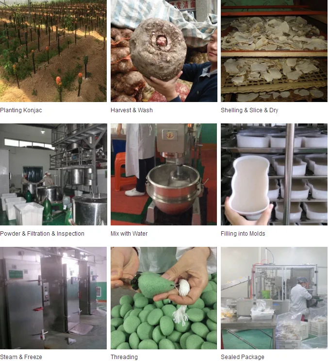 2021 Natural Face Cleansing Konjac Cosmetic Sponge Face Konjac