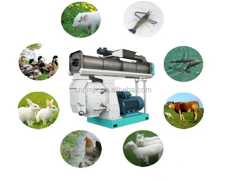 feed pellet machine (31).jpg