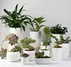 /product-detail/g51garden-decorative-flowerpot-ceramic-succulent-plant-pots-62027692813.html