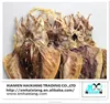 Wholesale high quality frozen/dried cuttlefish