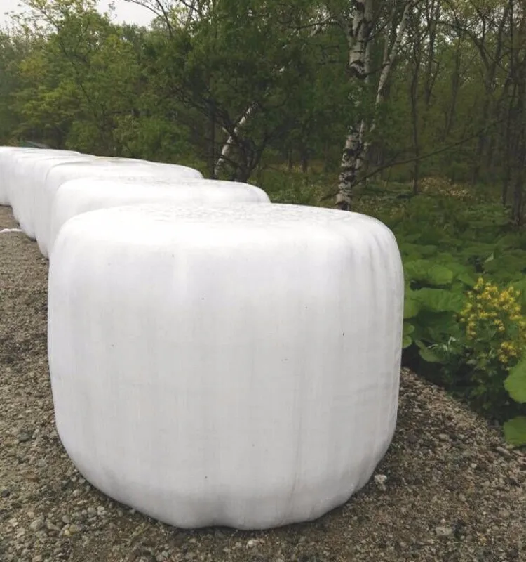 QQ20160628160253_conew1