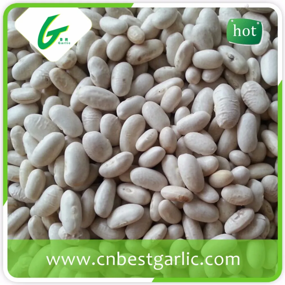 Large Size Dry White Kidney Bean Buy White Kidney Bean,Dry White Kidney Beans,Large Size White
