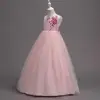 European style flower girl dress pink ball wedding gown for 8years old 3D embroidery kid party dress for new year