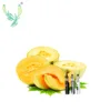 Food grade fruit flavouring free flavor samples liquid concentrate Melon flavor for E cigarette / DIY vape juice