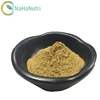 Factory Wholesale Pure Natural bulk kosher approved green lipped mussel extract
