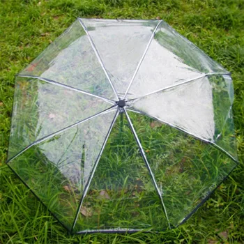 transparent umbrella