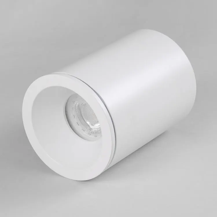 IP65 ceiling waterproof light Fixed Surface mounted downlight