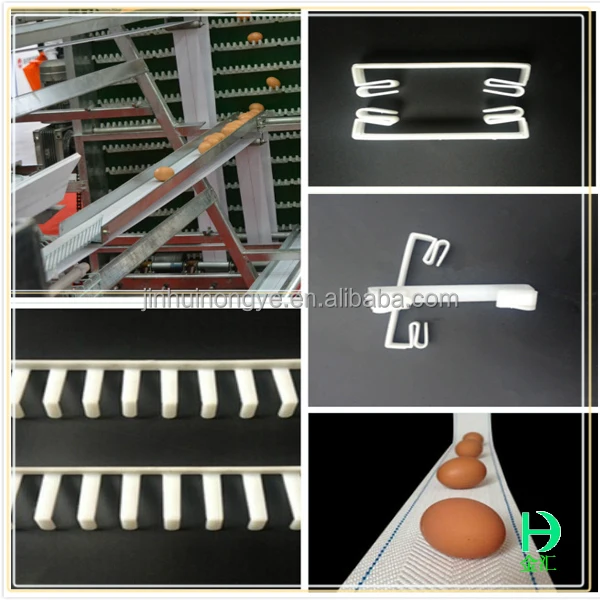 Layer poultry farms ,chicken farm automatic egg collection system for sale