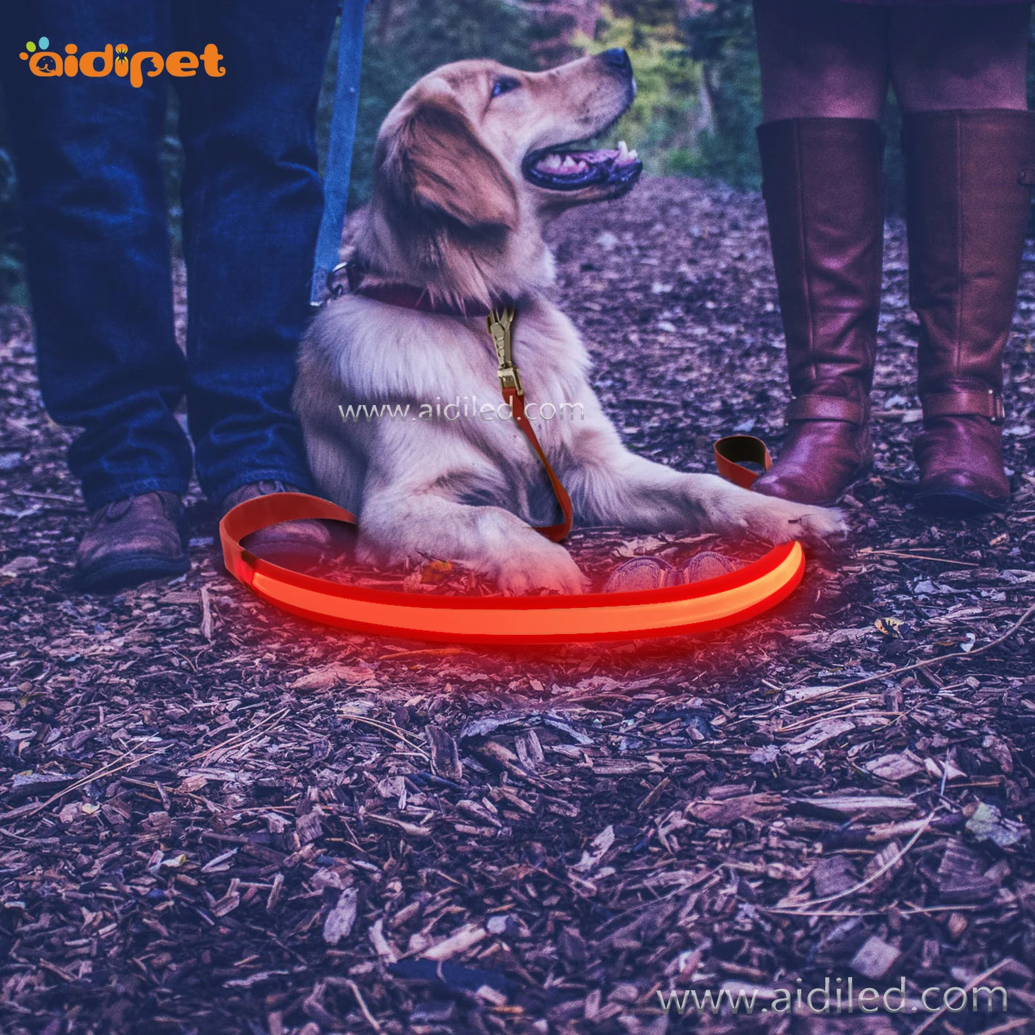 New Product Rainbow Colorful Soft Rechargeable Led Dog Harness