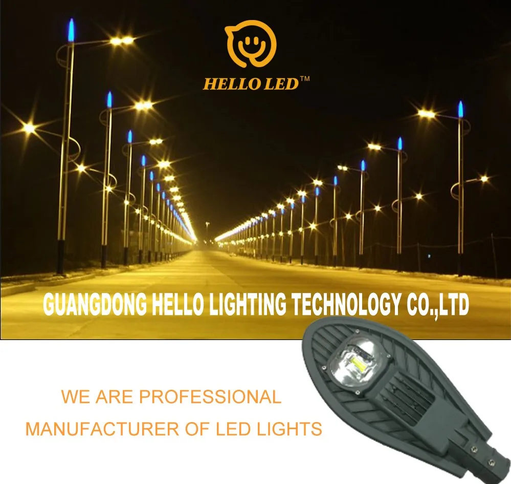 Zhongshan Factory High Power Outdoor Led Garden Aluminum Housing Waterproof Ip65 50w Cob Led