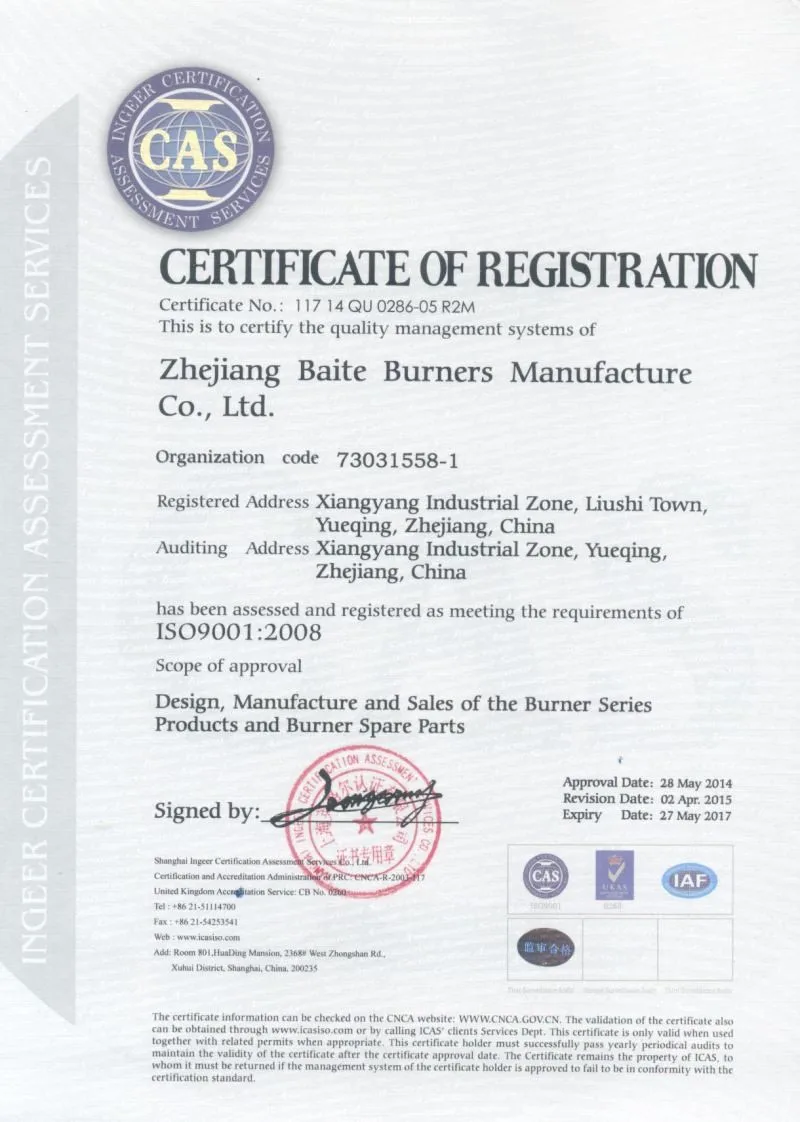 Btn5g Industrial Boiler, Gas Burner - detail 12