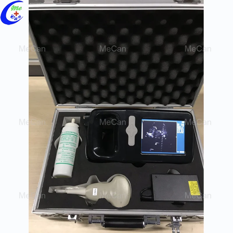 sheep ultrasound machine