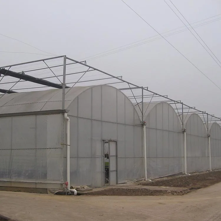 multispan greenhouse.jpg