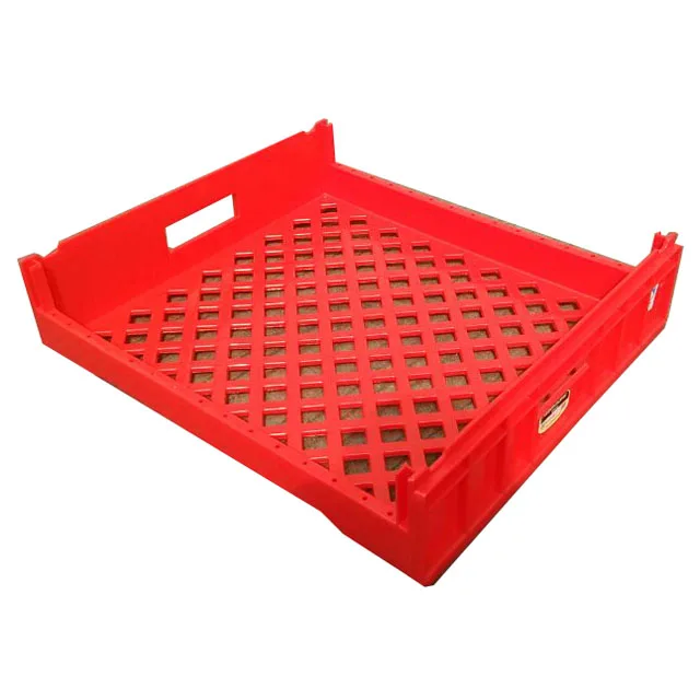 550*485*135mm Cheap Price Plastic Bread Plastic Bakery Tray Buy